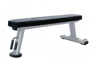Panca piana Toorx WBX-2000 bodybuilding colore silver