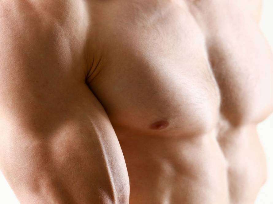 scheda petto e spalle