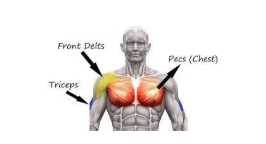ring dips