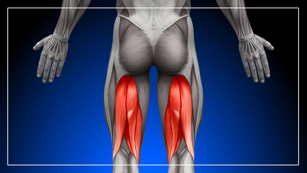 nordic hamstring curl