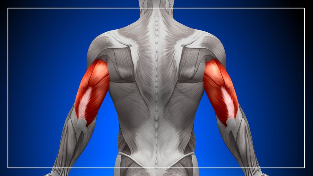 kickback per tricipiti